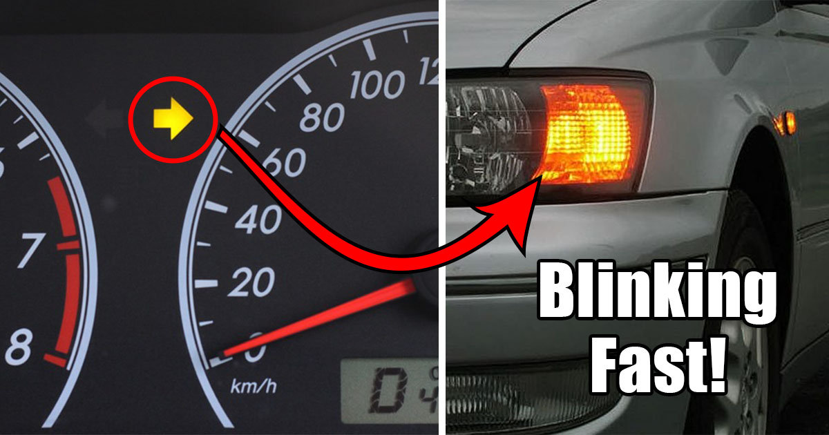 adopt dish Repel Why is my Turn Signal Blinking Fast? And How to Fix it? – Engineerine